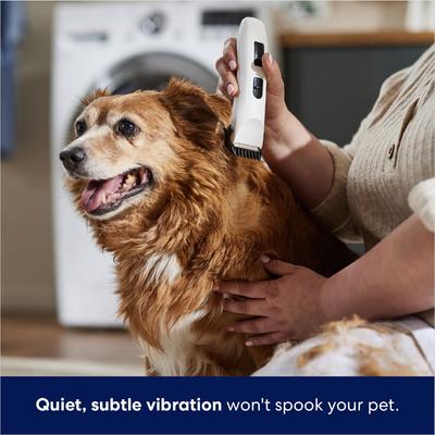 Show full view: Frisco Rechargeable Cordless Cat & Dog Hair Clipper slide 5 of 8
