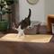 Show in main carousel: Frisco Rectangular Cat Litter Mat, Beige, Large slide 3 of 5