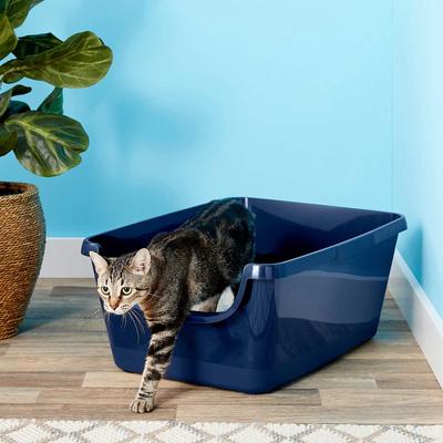 Show full view: Frisco Rectangular Cat Litter Mat, Large + Frisco High Sided Cat Litter Box, Navy, Extra Large 24-in slide 6 of 7