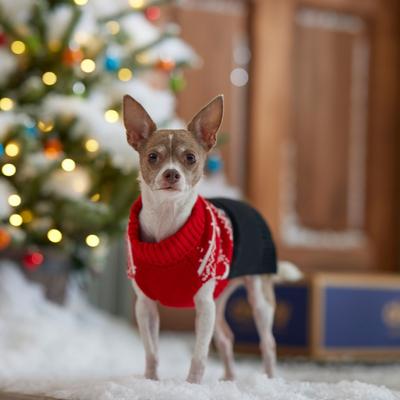 Show full view: Frisco Red & Black Reindeer Dog & Cat Sweater, XXX-Large slide 5 of 8