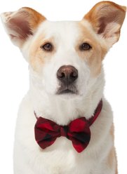 Frisco Red Buffalo Plaid Dog & Cat Bow Tie, Medium/Large