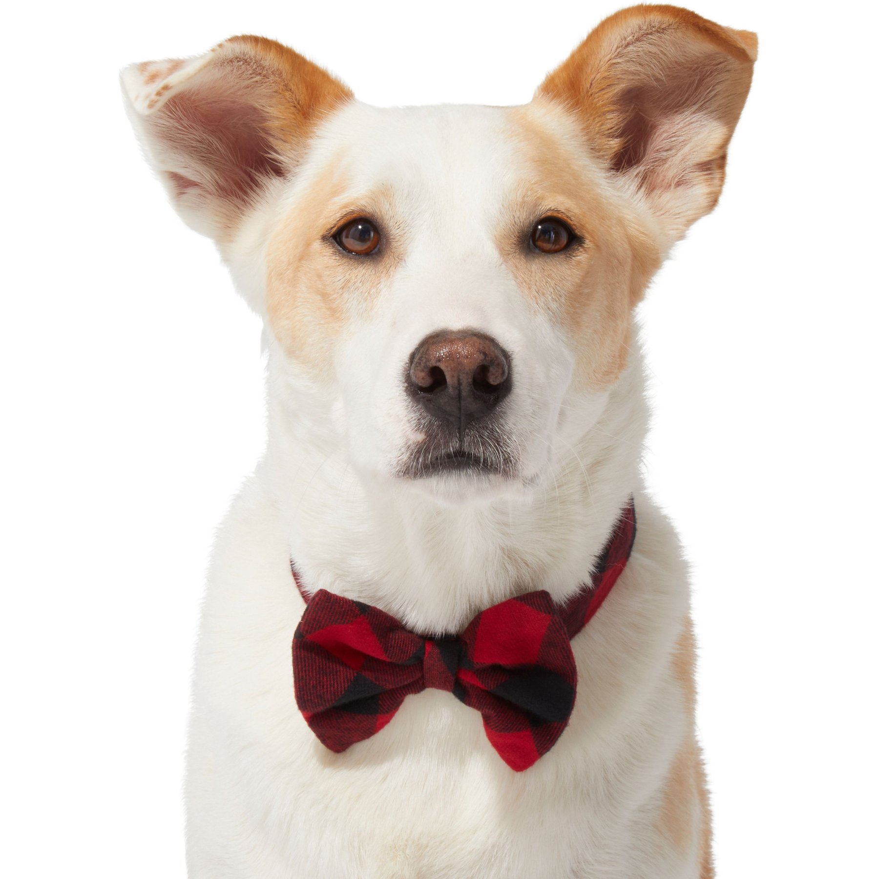 Frisco Red Buffalo Plaid Dog & Cat Bow Tie, Medium/Large