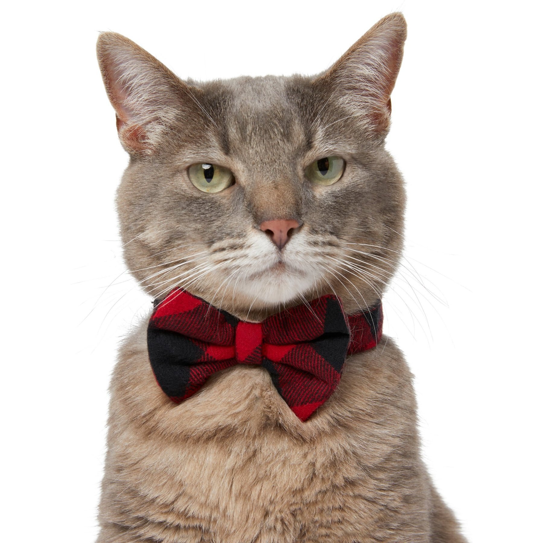 Frisco Red Buffalo Plaid Dog & Cat Bow Tie, X-Small/Small