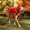 Show in main carousel: Frisco Red Lobster Dog & Cat Costume, Large slide 7 of 9