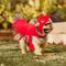 Show in main carousel: Frisco Red Lobster Dog & Cat Costume, Small slide 7 of 9