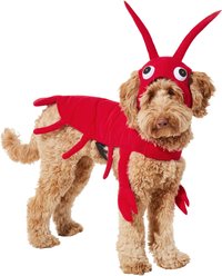 Frisco Red Lobster Dog & Cat Costume, XX-Large
