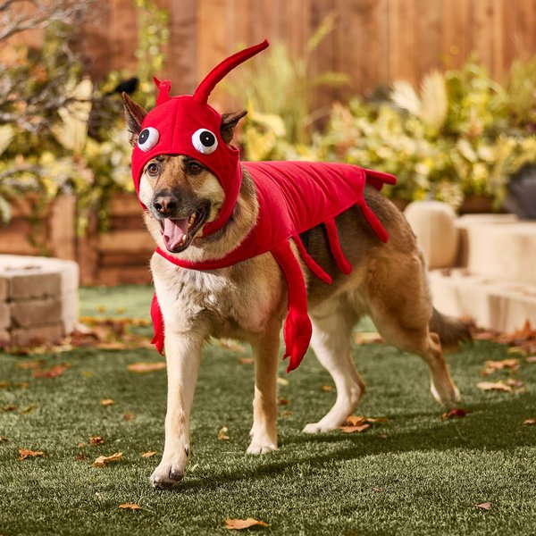 Show full view: Frisco Red Lobster Dog & Cat Costume, XX-Large slide 6 of 8