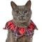 Show in main carousel: Frisco Red Plaid Cat Ruffle Collar with Bells, One Size slide 1 of 8