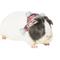 Show in main carousel: Frisco Red Plaid Guinea Pig Ruffle Collar with Pom Poms, Multi Color slide 1 of 7
