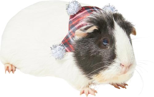 Show full view: Frisco Red Plaid Guinea Pig Ruffle Collar with Pom Poms, Multi Color slide 1 of 7