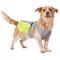 Show in main carousel: Frisco Reflective Dog Safety Vest, Large slide 1 of 10