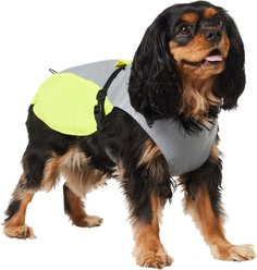 Frisco Reflective Dog Safety Vest, Medium