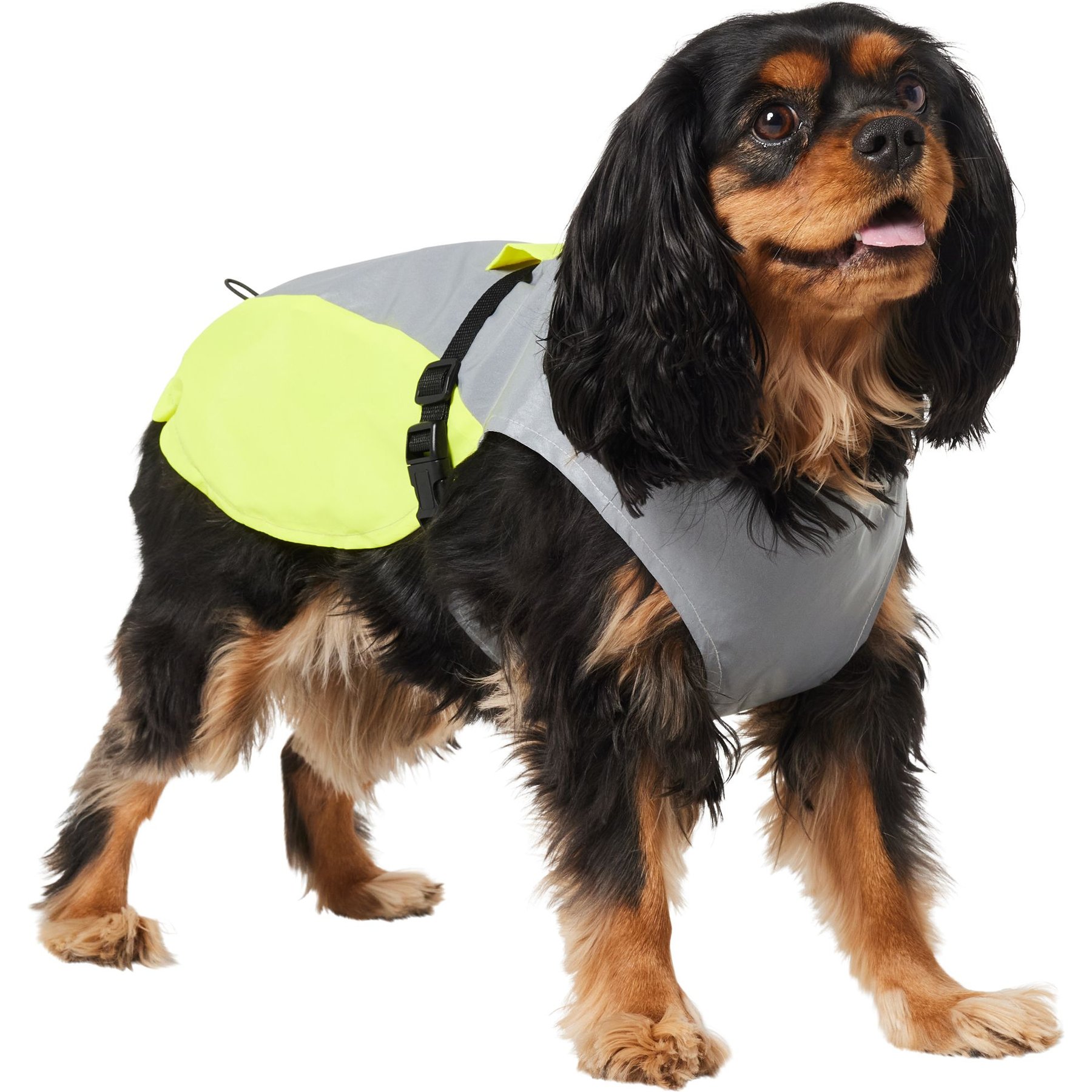 Frisco Reflective Dog Safety Vest, Medium