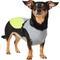 Show in main carousel: Frisco Reflective Dog Safety Vest, Small slide 1 of 10