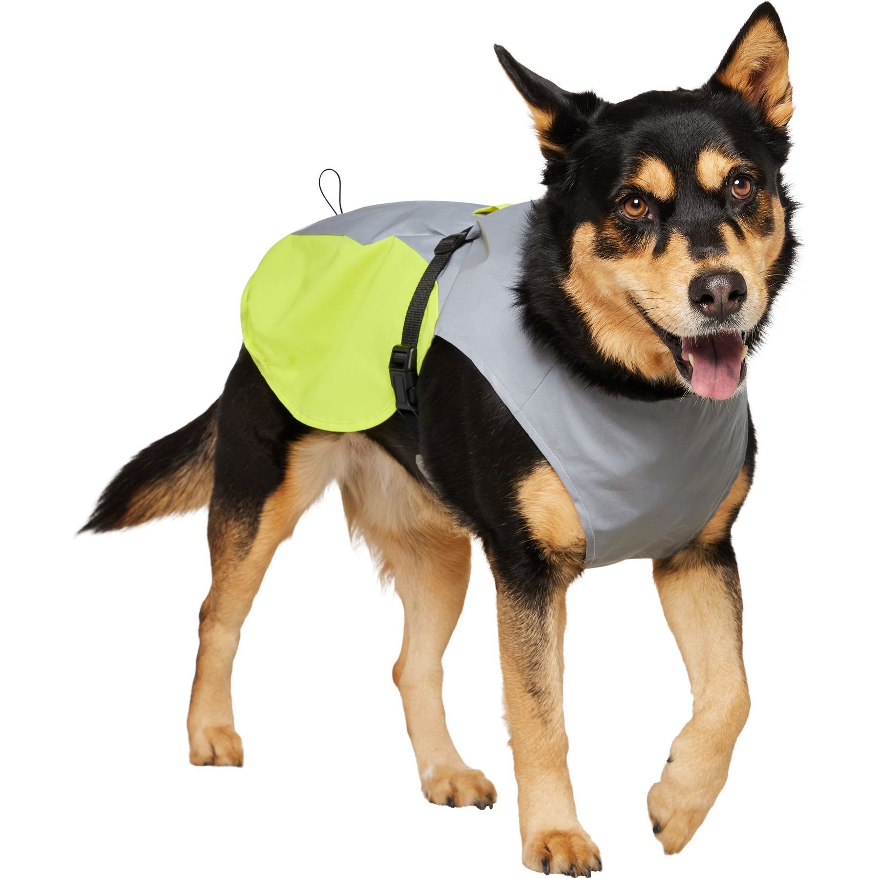 Frisco Reflective Dog Safety Vest, X-Large