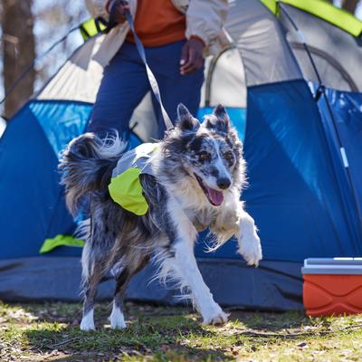 Show full view: Frisco Reflective Dog Safety Vest, X-Large slide 7 of 10