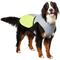 Show in main carousel: Frisco Reflective Dog Safety Vest, XXX-Large slide 1 of 10