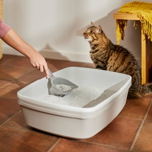 Frisco Relaxing Chamomile & Rose Scented Clumping Clay Cat Litter, 20-lb bag