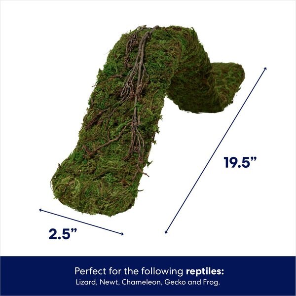 Frisco Reptile Natural Moss Bridge