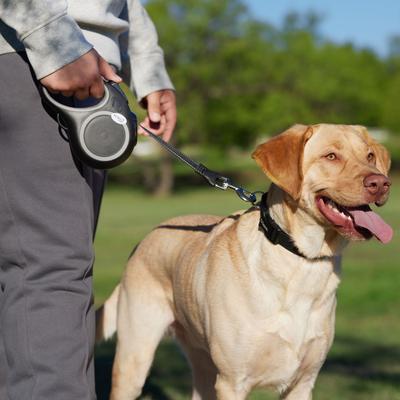 Show full view: Frisco Retractable Dog Leash, Black, Large: 16-ft long, 9/16-in wide, 1 count slide 6 of 9