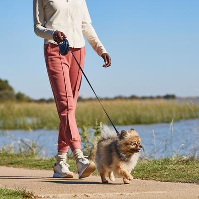 Frisco Retractable Dog Leash