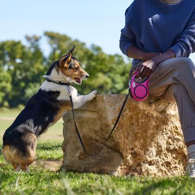 Show full view: Frisco Retractable Dog Leash, Pink, Medium: 16-ft long, 7/16-in wide, 1 count slide 6 of 9