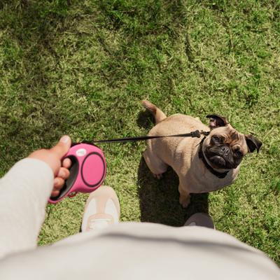 Show full view: Frisco Retractable Dog Leash, Pink, Small: 16-ft long, 3/8-in wide, 1 count slide 6 of 9