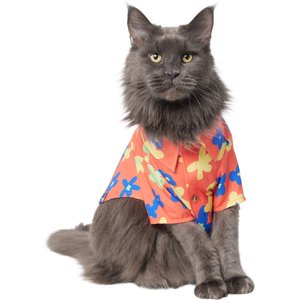Frisco Retro Floral Camp Dog & Cat Shirt, Small