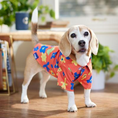 Show full view: Frisco Retro Floral Camp Dog & Cat Shirt, Small slide 9 of 12