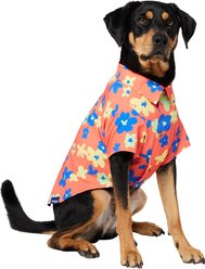 Frisco Retro Floral Camp Dog & Cat Shirt, X-Large