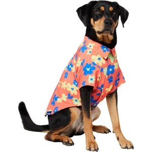 Frisco Retro Floral Camp Dog & Cat Shirt, X-Large