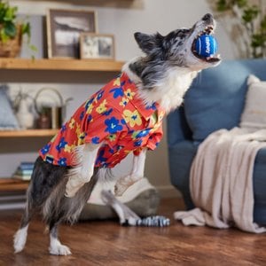 Frisco Retro Floral Camp Dog & Cat Shirt, X-Large