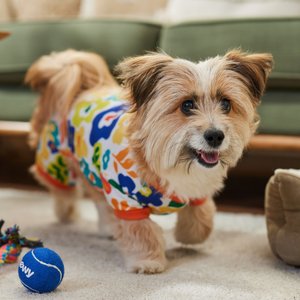 Frisco Retro Floral Dog & Cat PJs, Medium