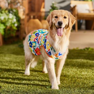 Show full view: Frisco Retro Floral Dog & Cat Tank Dress, X-Large slide 6 of 9