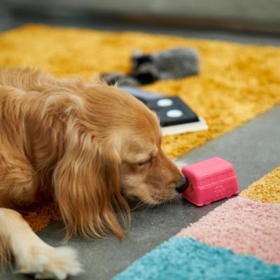 Show full view: Frisco Retro Funky Van TPE Treat Dispenser Dog Toy, Medium/Large slide 4 of 7