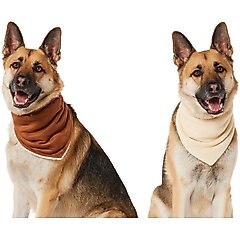 Frisco Reversible Cozy Knit Faux Fur Dog & Cat Pullover Bandana, X-Large/XX-Large