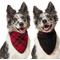 Show in main carousel: Frisco Reversible Flannel & Sherpa Dog & Cat Bandana, Red, Medium/Large slide 1 of 10