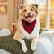 Show in main carousel: Frisco Reversible Flannel & Sherpa Dog & Cat Bandana, Red, Medium/Large slide 6 of 10