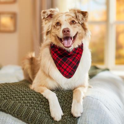 Show full view: Frisco Reversible Flannel & Sherpa Dog & Cat Bandana, Red, Medium/Large slide 6 of 10