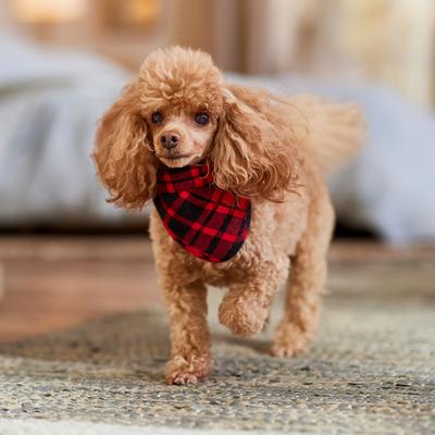 Show full view: Frisco Reversible Flannel & Sherpa Dog & Cat Bandana, Red, X-Small/Small slide 7 of 11