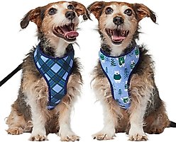 Frisco Reversible Holiday Polar Bears Dog Harness (Patent Pending), Blue, Medium