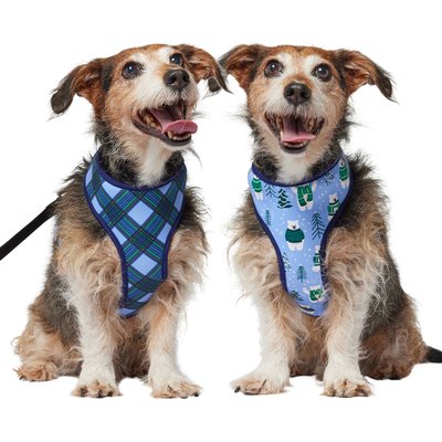 Frisco Reversible Holiday Polar Bears Dog Harness (Patent Pending), Blue, Medium