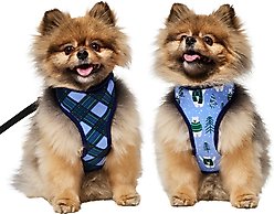 Frisco Reversible Holiday Polar Bears Dog Harness (Patent Pending), Blue, Small