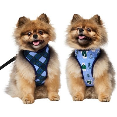 Frisco Reversible Holiday Polar Bears Dog Harness (Patent Pending), Blue, Small
