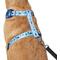 Show in main carousel: Frisco Reversible Holiday Polar Bears Dog Harness (Patent Pending), Blue, XX-Large/XXX-Large slide 2 of 10