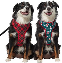 Frisco Reversible Holiday Polar Bears Dog Harness (Patent Pending), Red, Large/X-Large