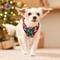 Show in main carousel: Frisco Reversible Holiday Polar Bears Dog Harness (Patent Pending), Red, X-Small slide 7 of 11