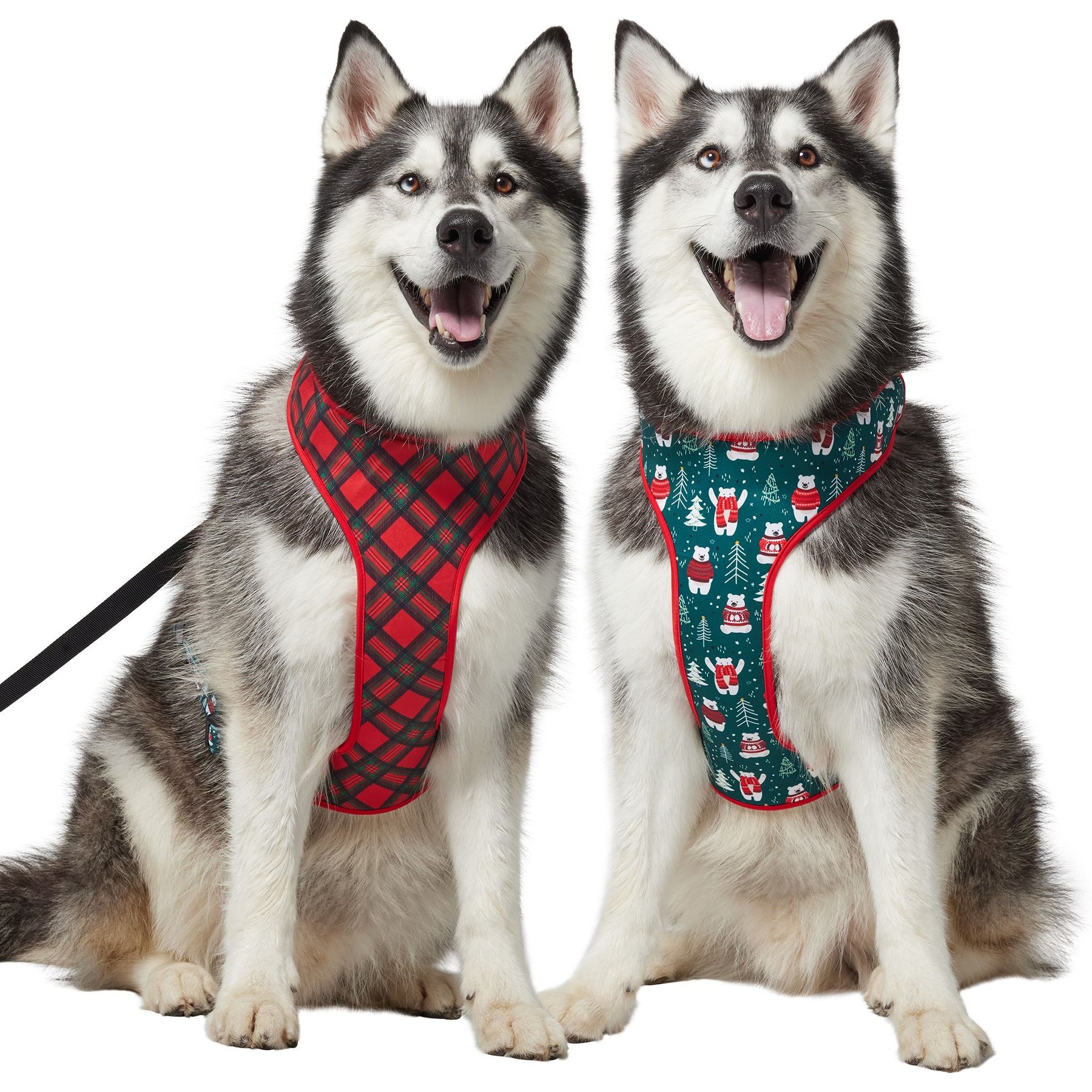 Frisco Reversible Holiday Polar Bears Dog Harness (Patent Pending), Red, XX-Large/XXX-Large