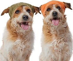 Frisco Reversible Polar Fleece Lined Dog & Cat Knit Beanie, Green, Medium/Large
