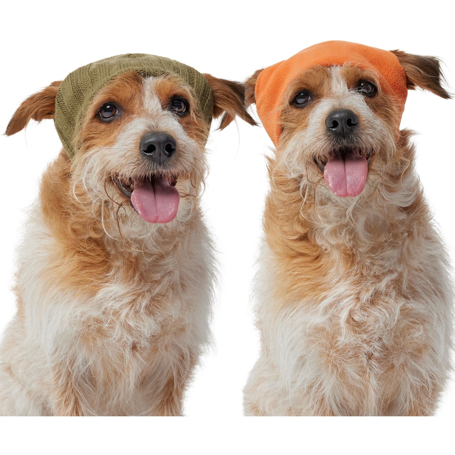 Frisco Reversible Polar Fleece Lined Dog & Cat Knit Beanie, Green, Medium/Large